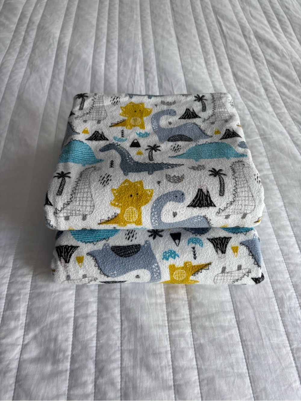 Baby Dino Blankets